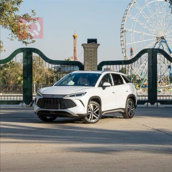 بی وای دی سۆنگ L DM-i 2025  بۆ فرۆشتن لە عێراق -  بەغداد